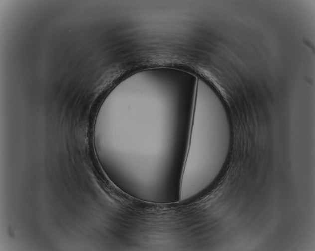 X0000093220443200709261449