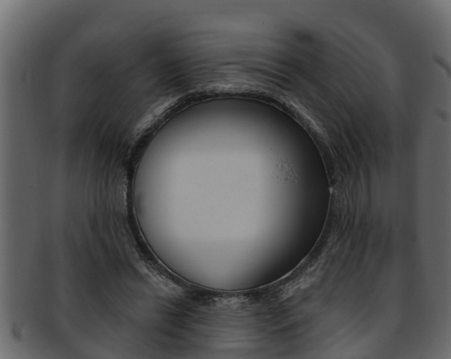 X0000093220446200709261449