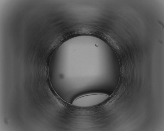 X0000093220449200709261449