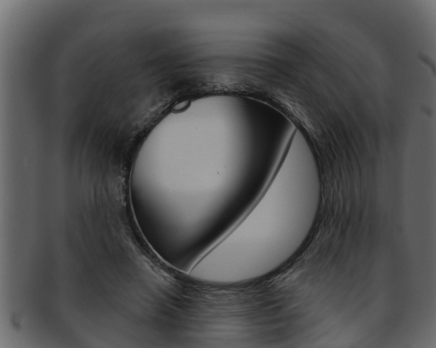 X0000093220450200709261449