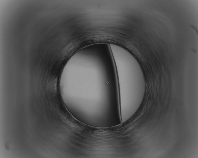 X0000093220454200709261449