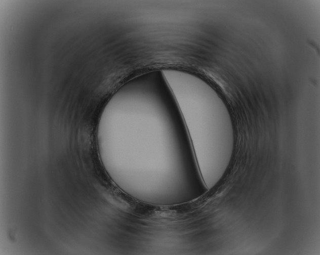 X0000093220455200709261449