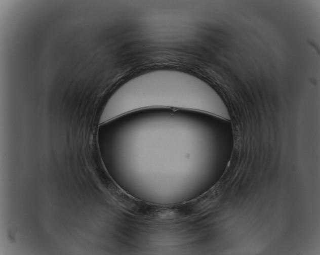 X0000093220456200709261449