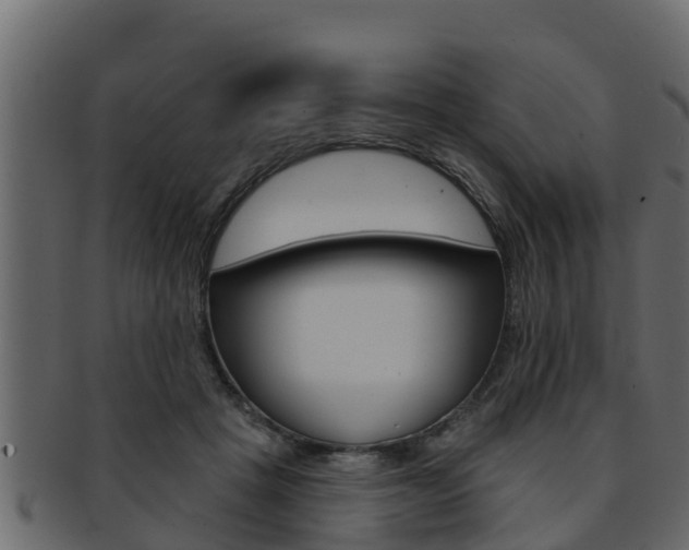 X0000093220457200709261449
