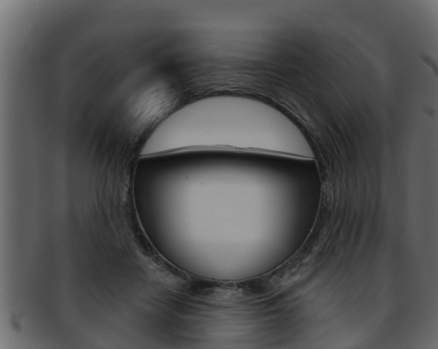X0000093220458200709261449
