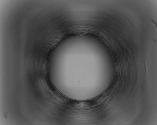 X0000093220460200709261449