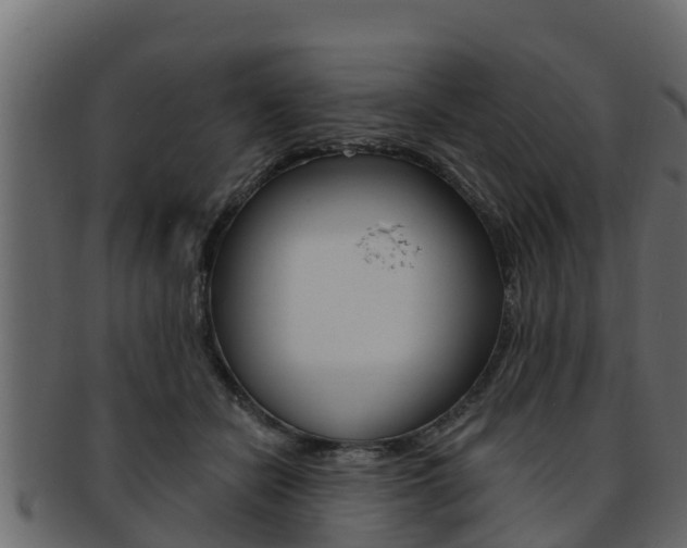 X0000093220462200709261449