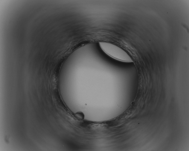 X0000093220465200709261450