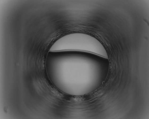 X0000093220466200709261450