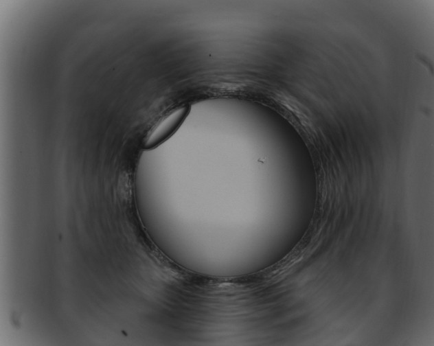 X0000093220467200709261450