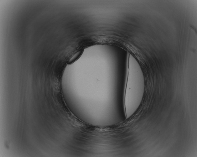 X0000093220469200709261450