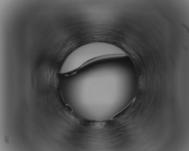 X0000093220474200709261450