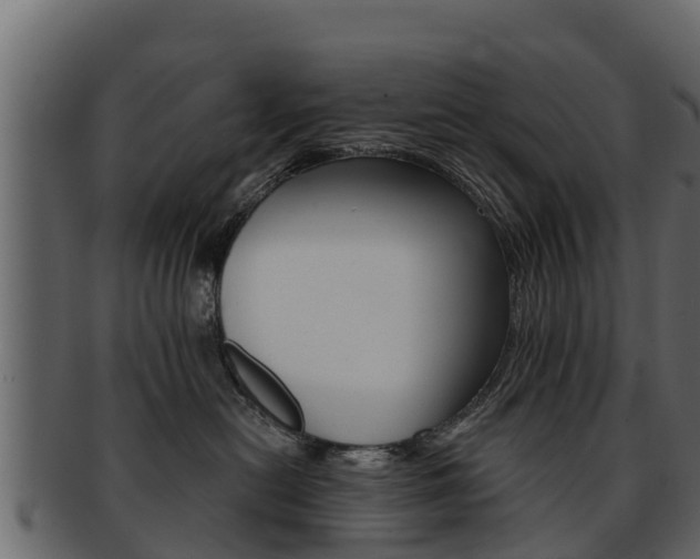X0000093220478200709261450