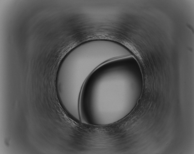X0000093220481200709261449