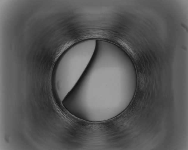 X0000093220482200709261449