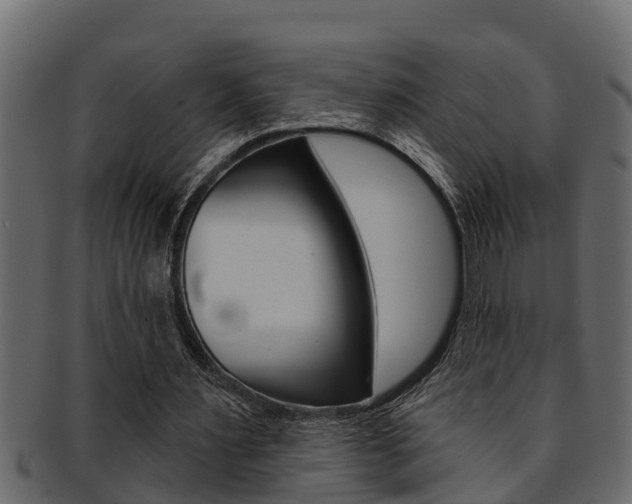 X0000093220483200709261449