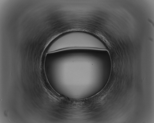 X0000093220484200709261449