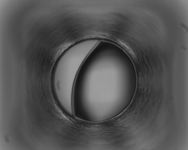 X0000093220485200709261449
