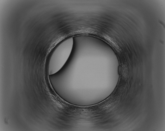 X0000093220486200709261449