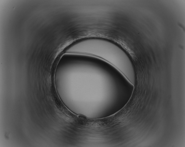 X0000093220488200709261449