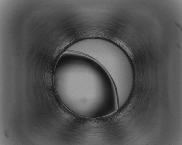 X0000093220489200709261449