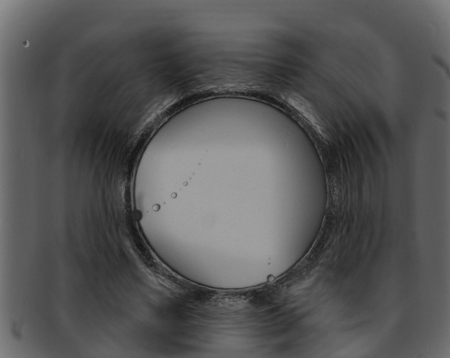 X0000093220491200709261449