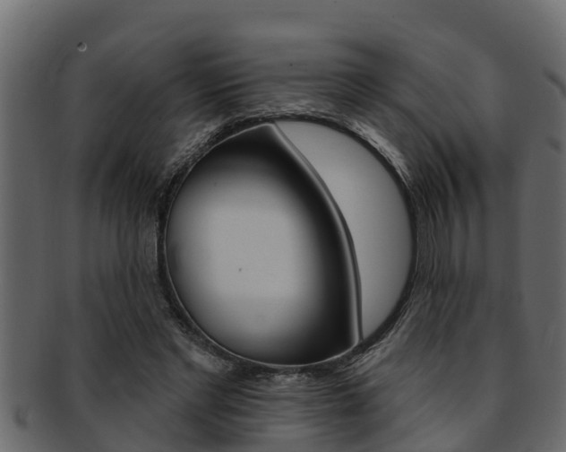 X0000093220493200709261449