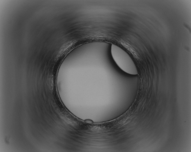 X0000093220494200709261449