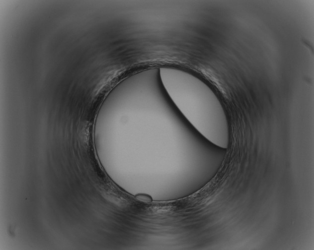 X0000093220495200709261449