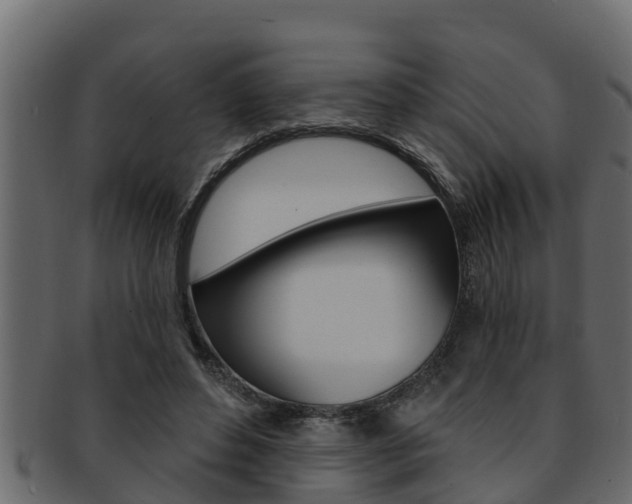 X0000093220496200709261449
