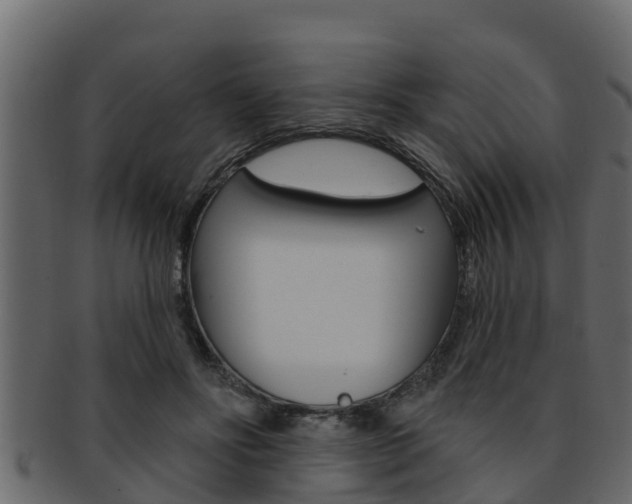 X0000093220502200709261449
