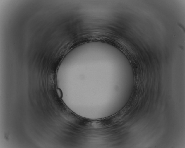 X0000093220506200709261449
