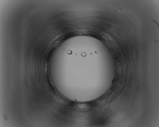 X0000093220507200709261449