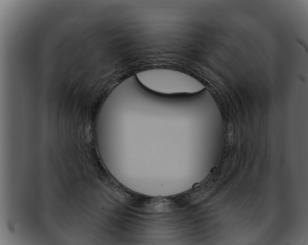 X0000093220514200709261449