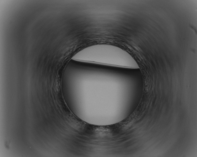 X0000093220515200709261449
