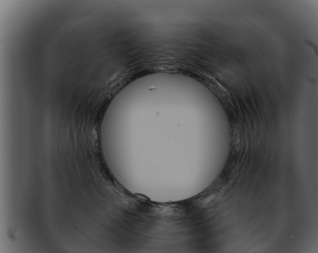 X0000093220523200709261448