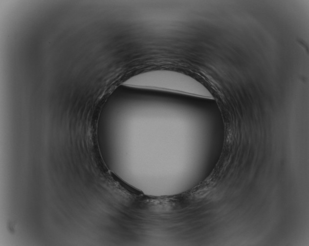 X0000093220524200709261448