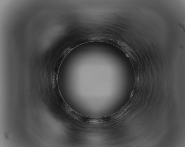 X0000093220525200709261448