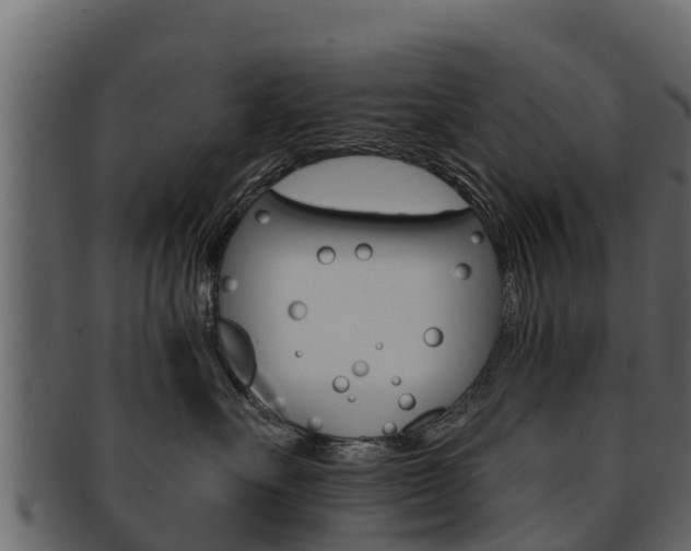 X0000093220527200709261448