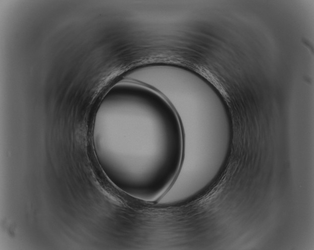 X0000093220530200709261448