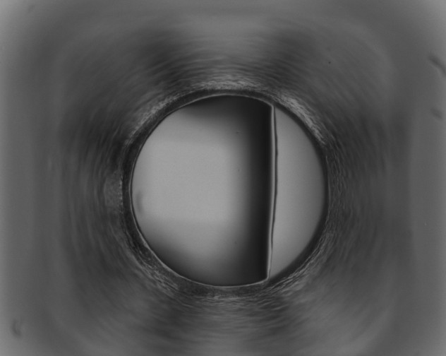 X0000093220531200709261448