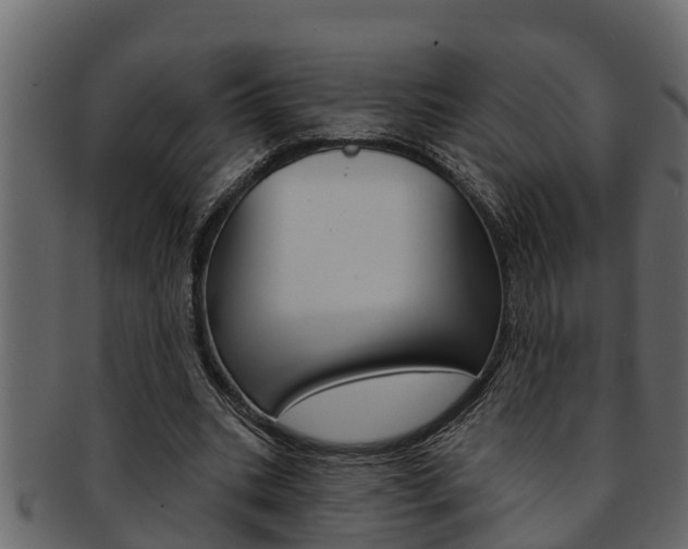 X0000093220535200709261448