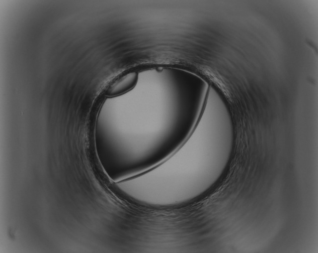 X0000093220536200709261448