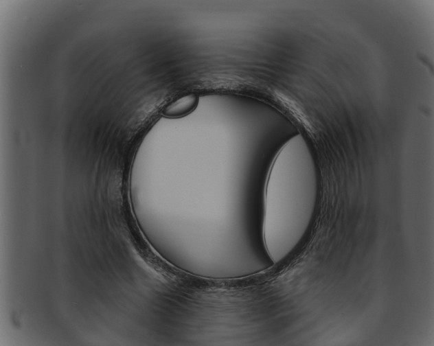 X0000093220538200709261448