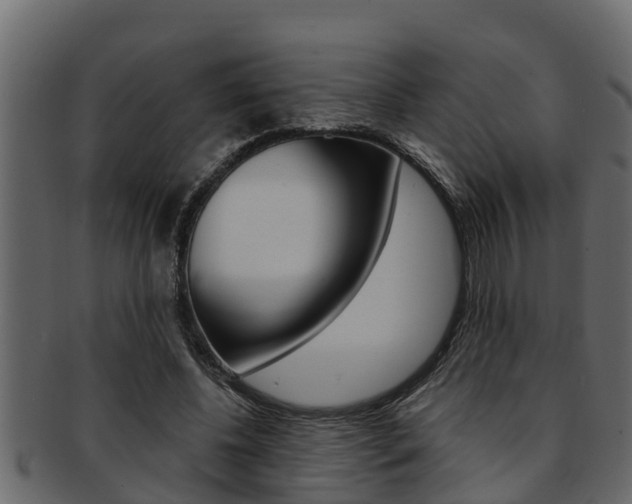 X0000093220540200709261448