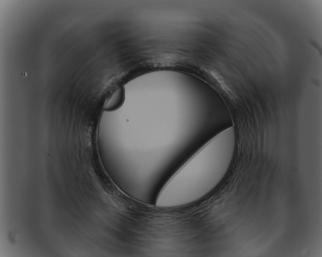 X0000093220543200709261448