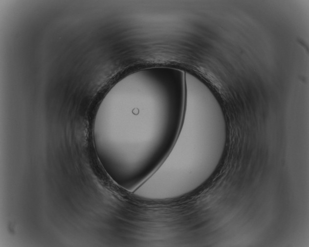 X0000093220544200709261448