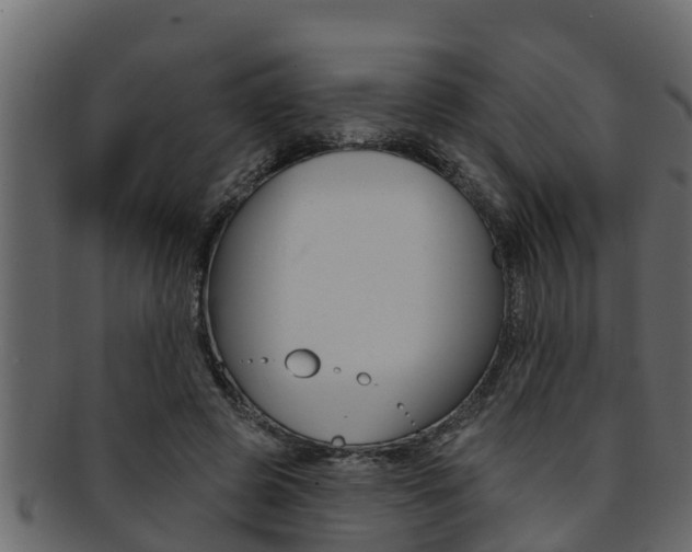 X0000093220545200709261448