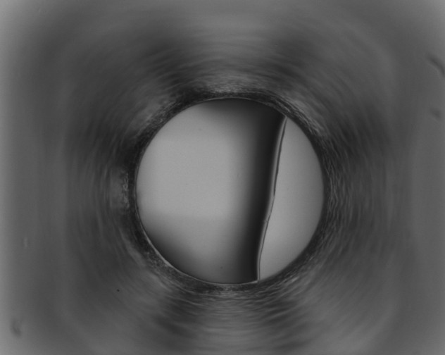 X0000093220547200709261448