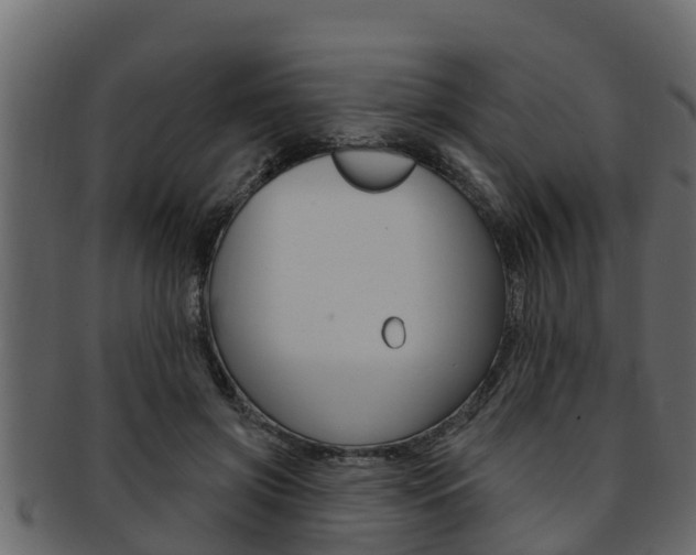 X0000093220549200709261448